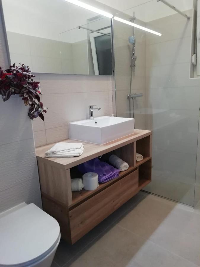 Apartman Ana 노비비노돌스키 외부 사진